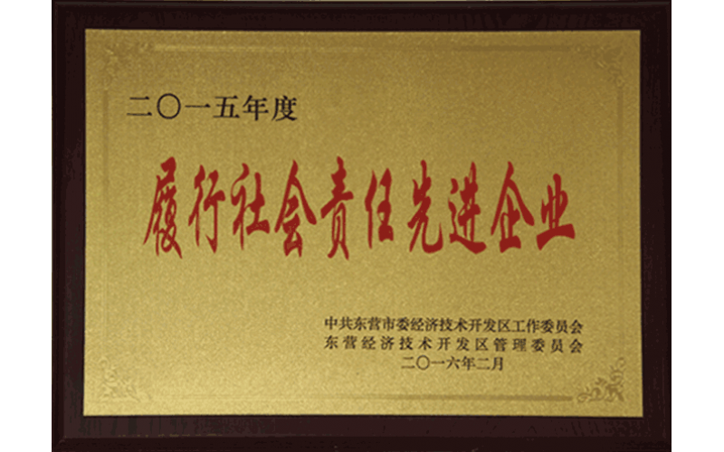 履行社會責任先進企業(yè)